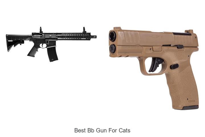 Best BB Gun For Cats: Top Picks You Can’t Miss Today!