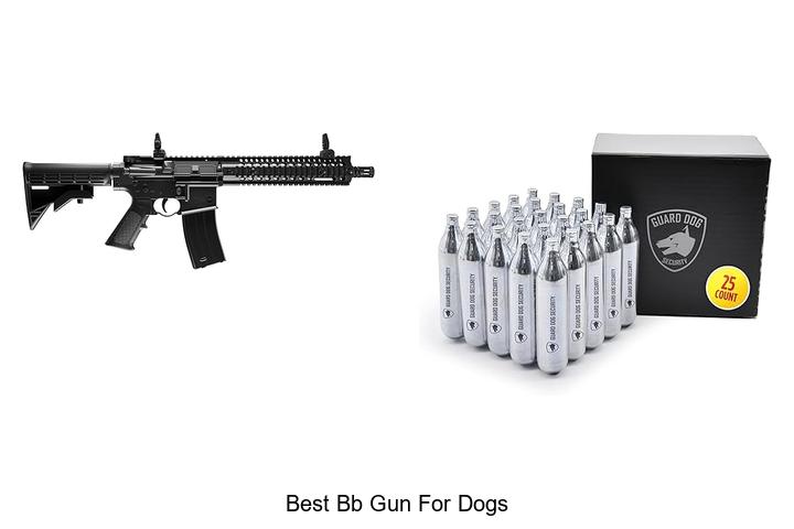 Best BB Gun For Dogs: Shocking Choices You Must See Now