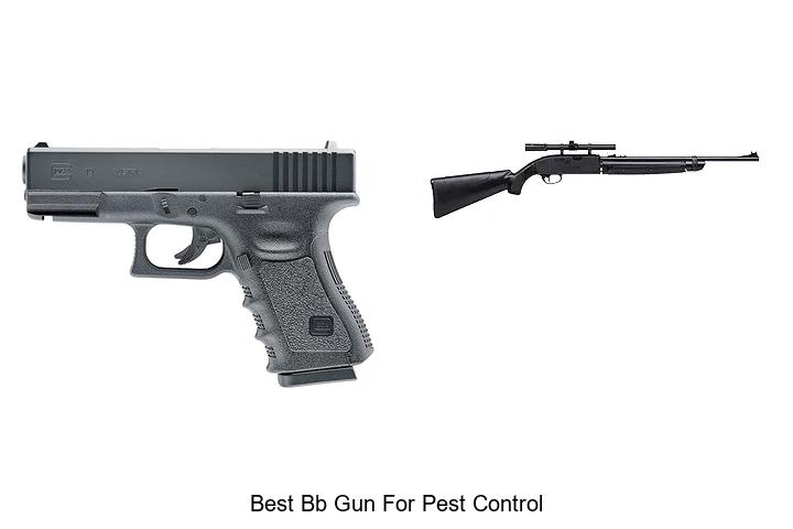 Best BB Gun For Pest Control That Actually Works Fast