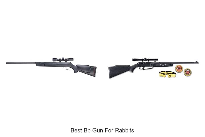 Best BB Gun For Rabbits That Hunters Swear By
