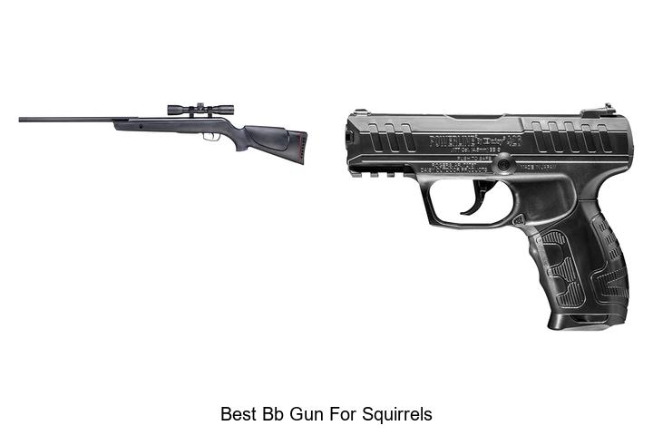Best BB Gun For Squirrels: Unbelievable Accuracy Revealed!