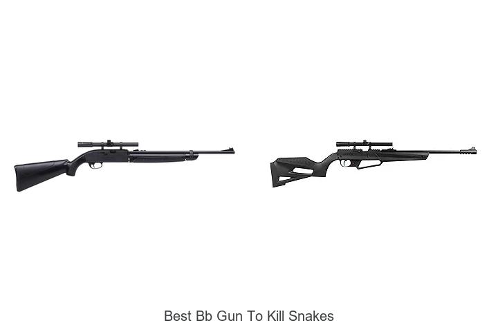 Best BB Gun To Kill Snakes That Actually Works Fast