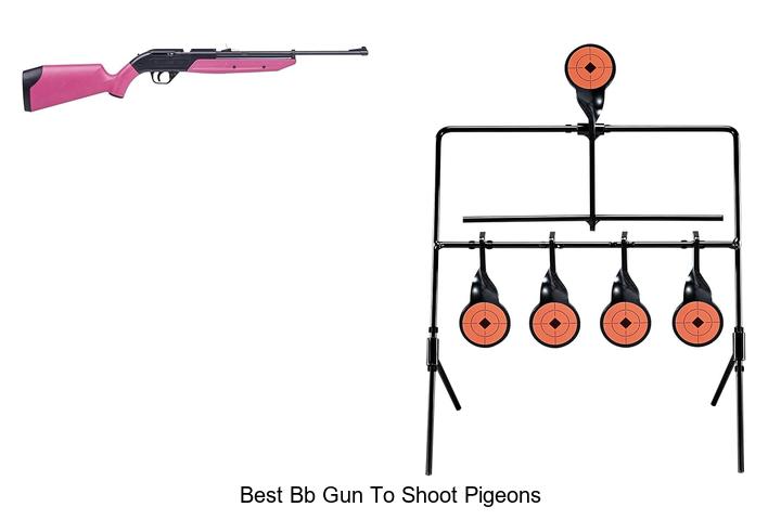 Best BB Gun To Shoot Pigeons That Will Blow Your Mind!