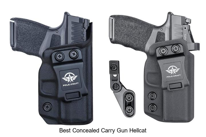 Best Concealed Carry Gun Hellcat Secrets You Must Know!