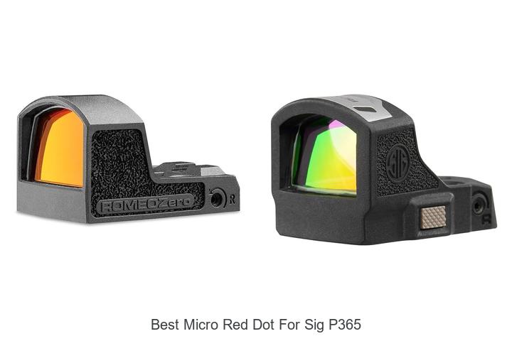 Best Micro Red Dot For Sig P365 That Shoots To Impress