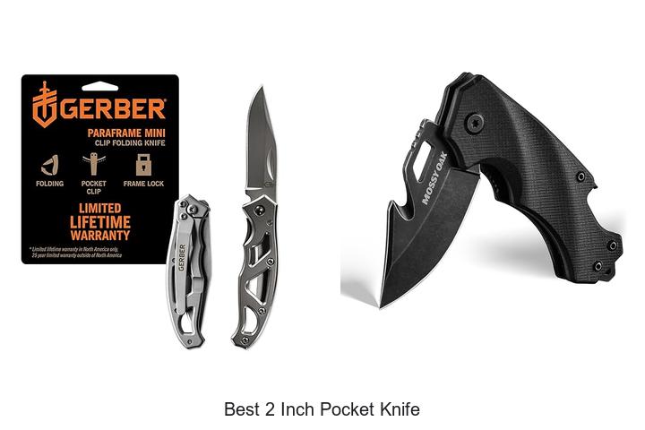 Best 2 Inch Pocket Knife You Can’t Live Without Today!