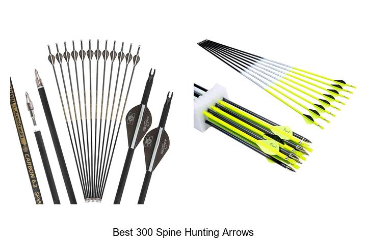 Best 300 Spine Hunting Arrows That Will Boost Your Accuracy!