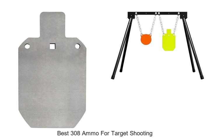 Best 308 Ammo For Target Shooting That Will Boost Your Accuracy