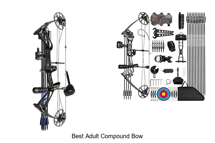Top 12 Best Adult Compound Bow That Hunters Swear By