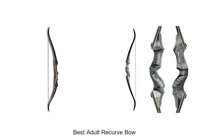 Top 12 Best Adult Recurve Bow That Archers Swear By