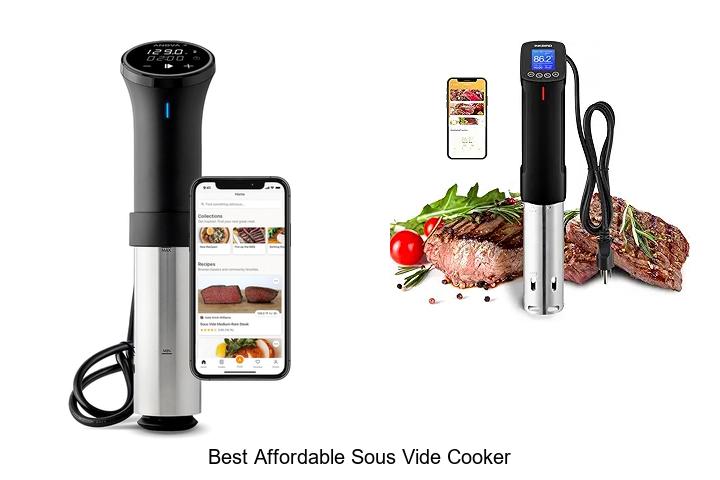 Top 12 Best Affordable Sous Vide Cooker For Perfect Meals