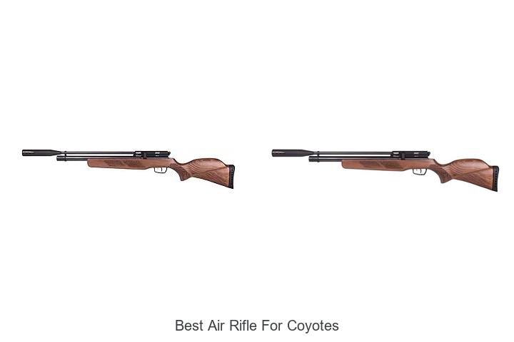 Best Air Rifle For Coyotes: Unmatched Power & Precision!