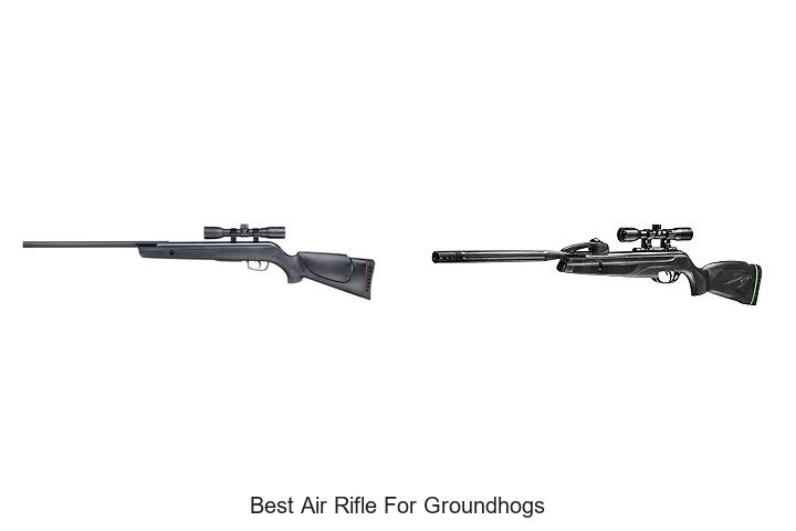Best Air Rifle For Groundhogs That Will Blow You Away!