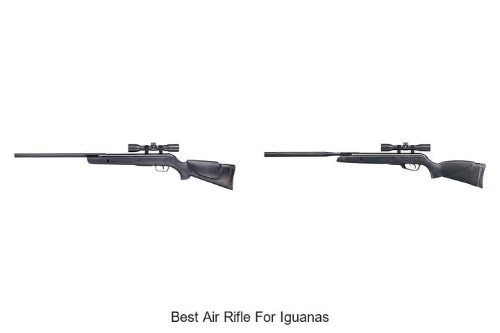 Best Air Rifle for Iguanas That Hunters Swear By