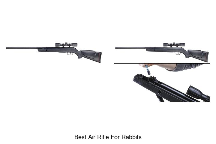 Best Air Rifle For Rabbits: Top Picks You Can’t Miss!