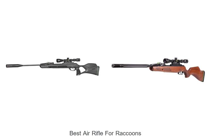 Best Air Rifle For Raccoons: Unbelievable Power Revealed!