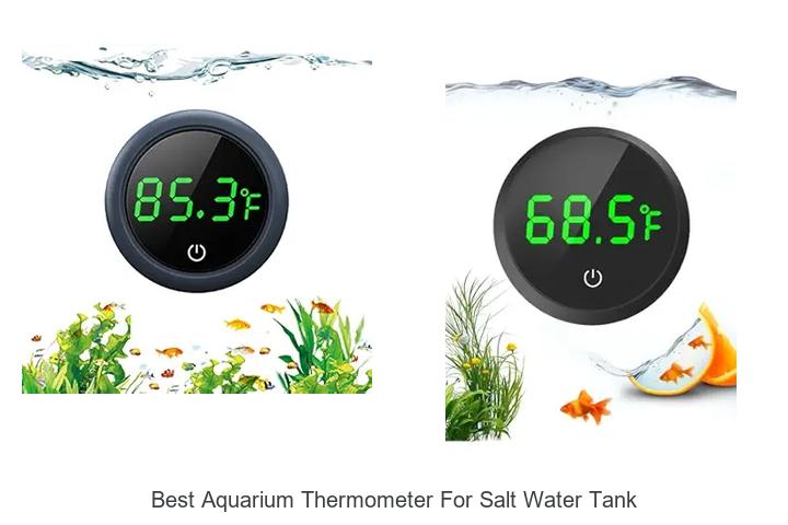 Top 12 Best Aquarium Thermometer for Salt Water Tank Today