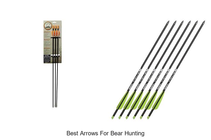 Best Arrows for Bear Hunting That Will Boost Your Accuracy
