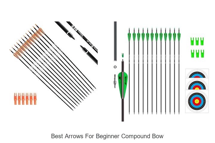 Top 12 Best Arrows For Beginner Compound Bow Revealed!