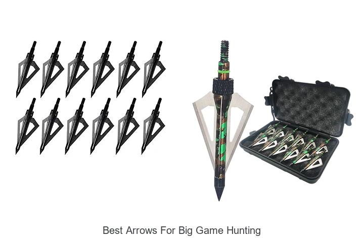 Top 12 Best Arrows for Big Game Hunting You Need Now