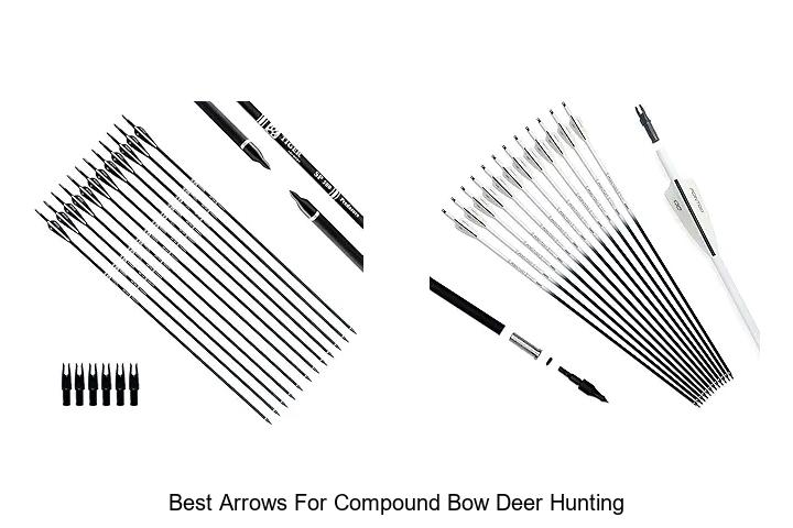 Top 12 Best Arrows for Compound Bow Deer Hunting Revealed!
