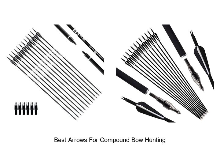 Top 12 Best Arrows for Compound Bow Hunting Revealed!