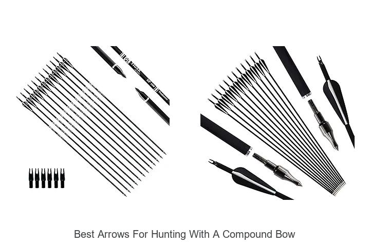 Top 12 Best Arrows for Hunting with a Compound Bow Revealed!