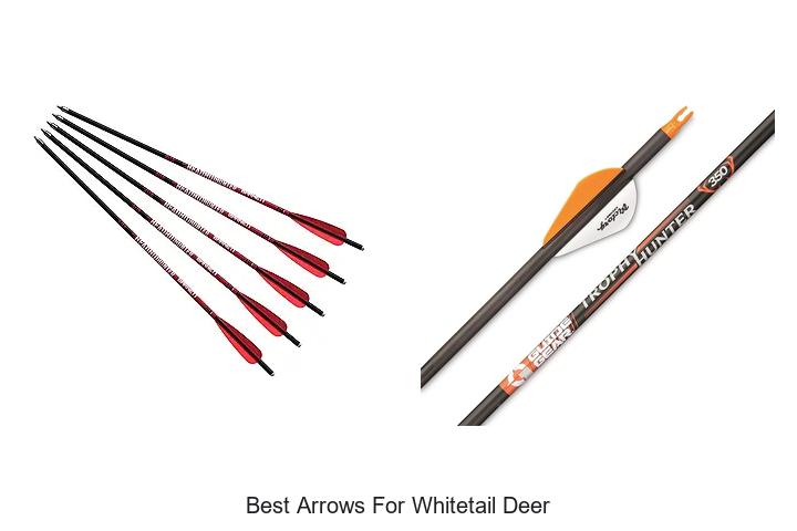 Top 12 Best Arrows for Whitetail Deer You Must Try Now