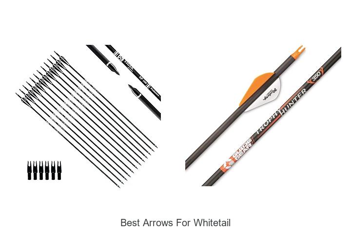 Top 12 Best Arrows For Whitetail That Will Boost Your Hunt
