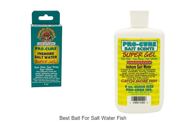 Top 12 Best Bait For Salt Water Fish To Catch Giants