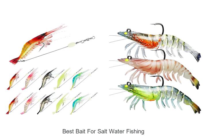 Top 13 Best Bait for Salt Water Fishing You Must Try