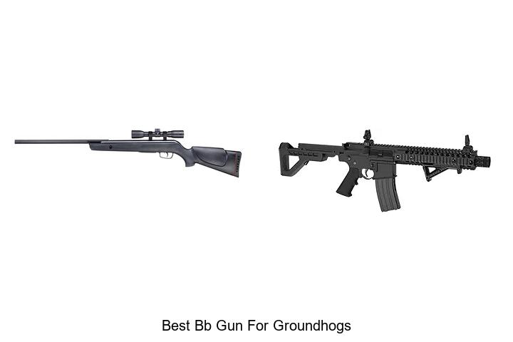 Best BB Gun For Groundhogs That Will Blow Your Mind!