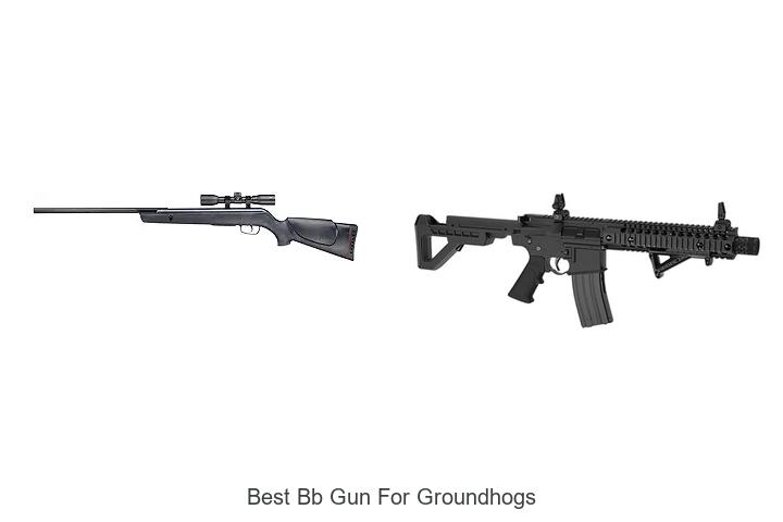 Best BB Gun For Groundhogs That Will Blow Your Mind