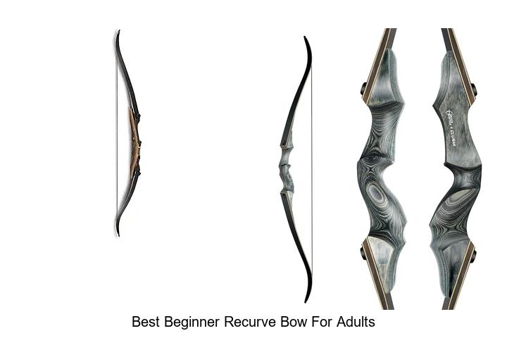 Top 12 Best Beginner Recurve Bow For Adults You Must Try