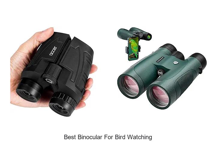 Top 12 Best Binocular For Bird Watching You Can’t Miss!