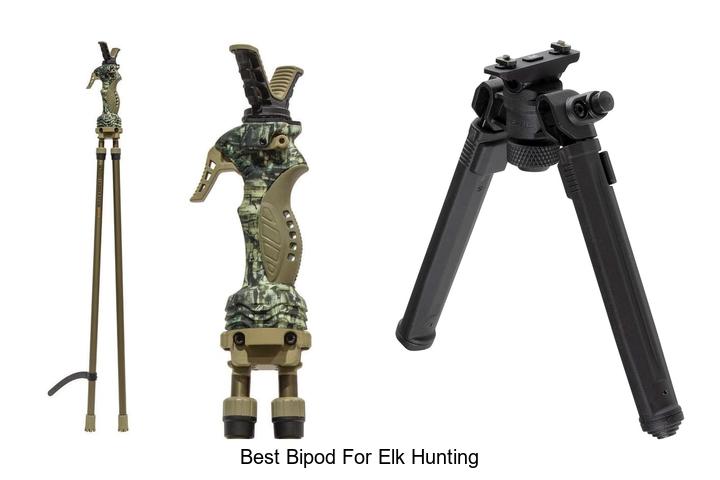 Top 12 Best Bipod for Elk Hunting You Can’t Miss!
