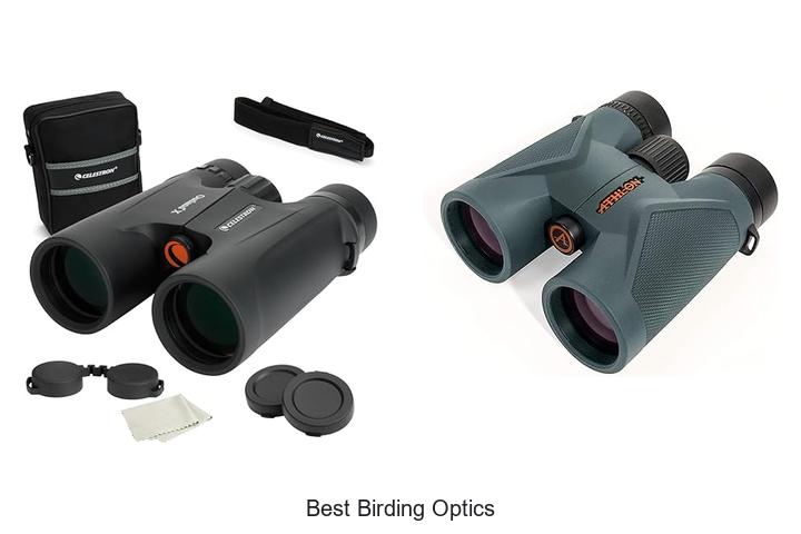 Best Birding Optics That Will Change Your Viewing Game