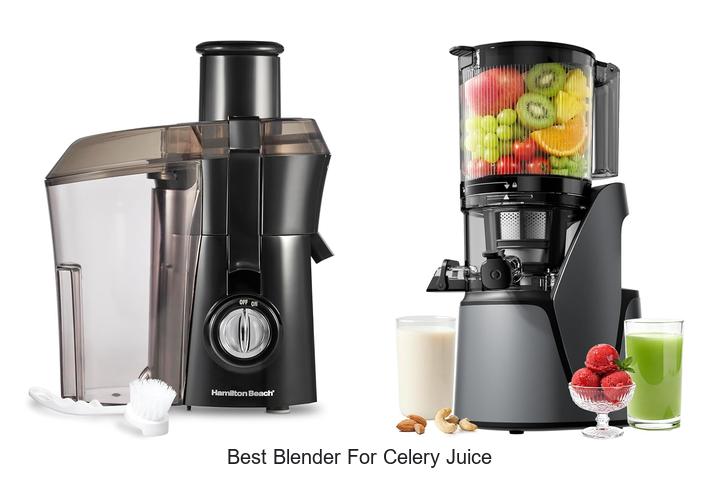 Top 12 Best Blender For Celery Juice You Must Try Today