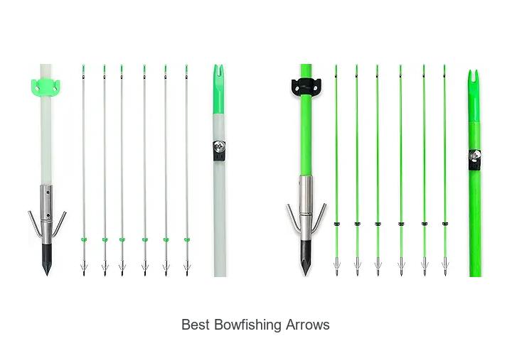 Top 12 Best Bowfishing Arrows That Will Boost Your Catch