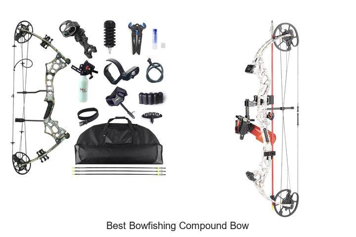 Best Bowfishing Compound Bow That Will Blow You Away!