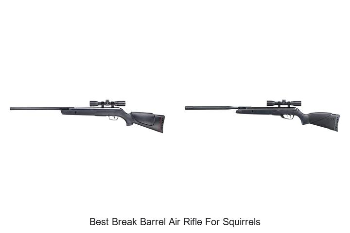 Best Break Barrel Air Rifle For Squirrels: Top Picks Revealed