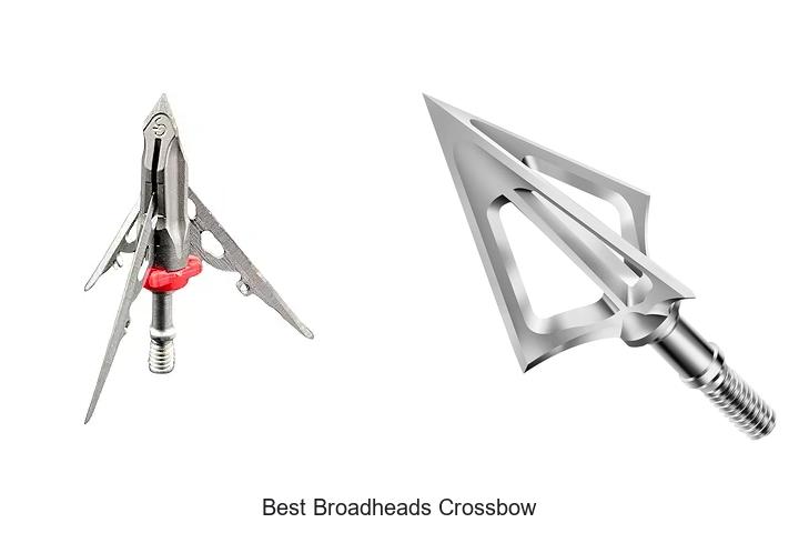 Best Broadheads Crossbow Hunters Swear By Revealed!