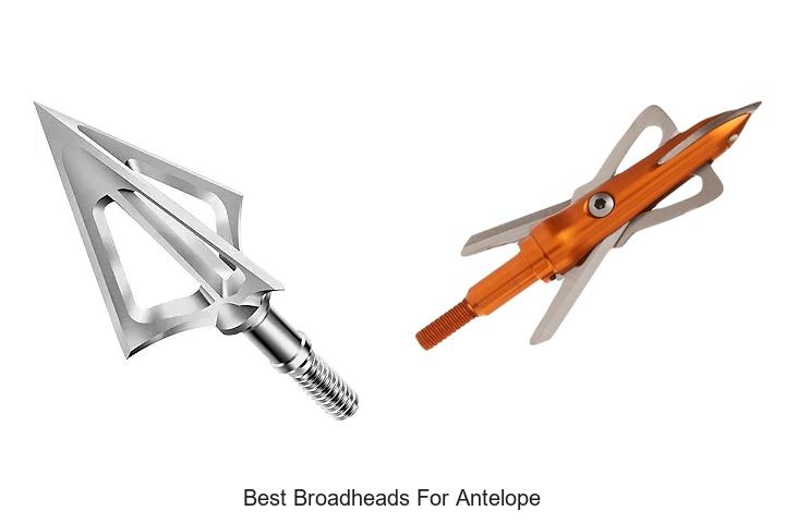 Top 12 Best Broadheads For Antelope You Can’t Miss!