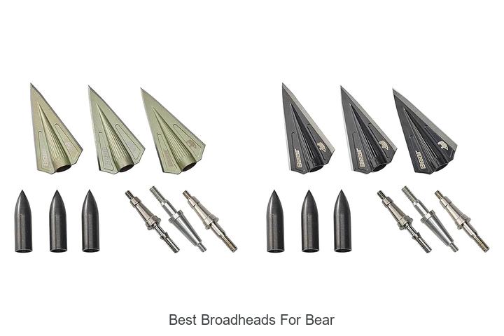 Best Broadheads For Bear That Hunters Swear By Now