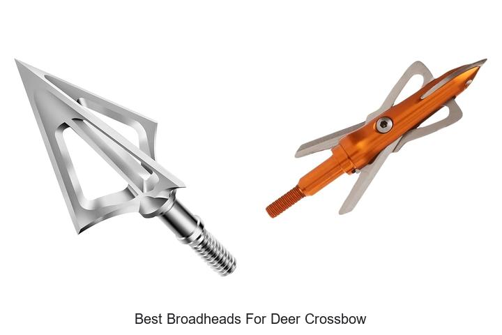 Top 12 Best Broadheads For Deer Crossbow That Kill Deadly