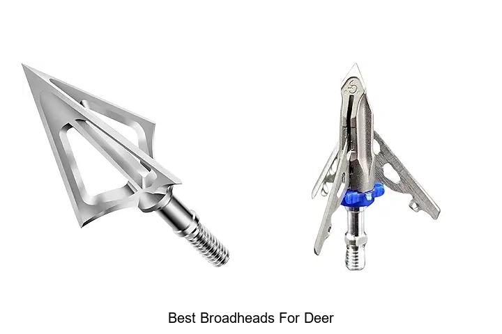 Top 12 Best Broadheads for Deer That Hunters Swear By