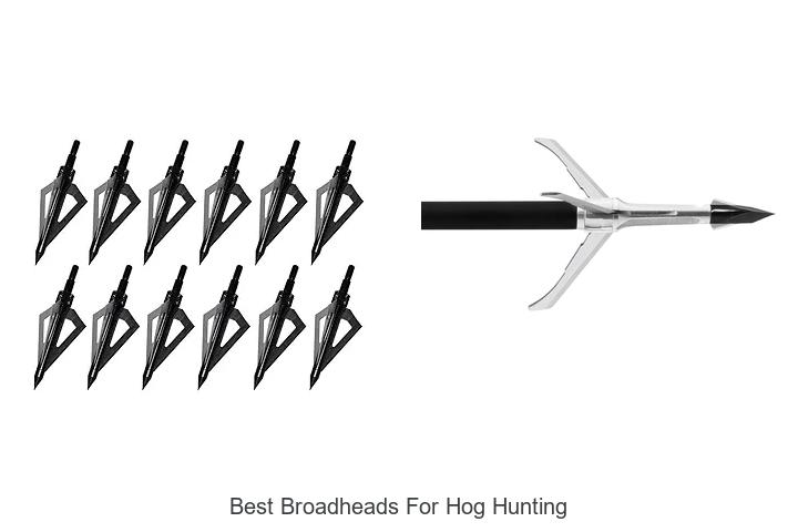 Top 12 Best Broadheads For Hog Hunting That Kill Instantly