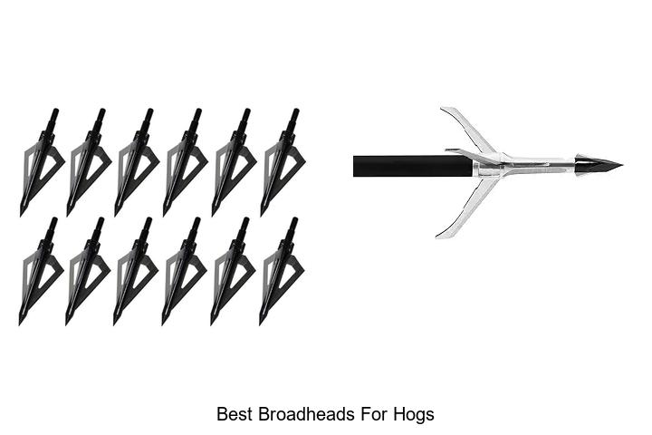 Top 12 Best Broadheads For Hogs That Hunters Swear By