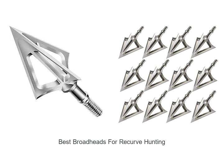 Top 12 Best Broadheads For Recurve Hunting That Dominate