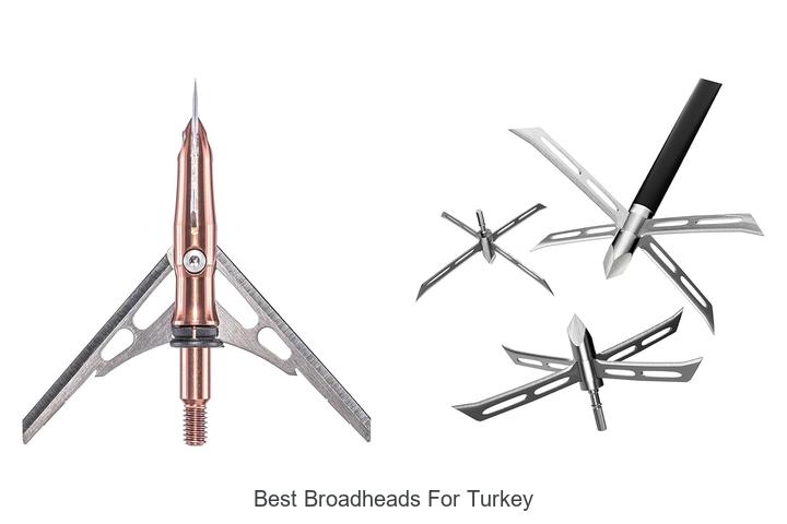Best Broadheads For Turkey: Top Picks You Can’t Miss!